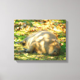 Lienzo Sueños de capibara en el sol de verano
