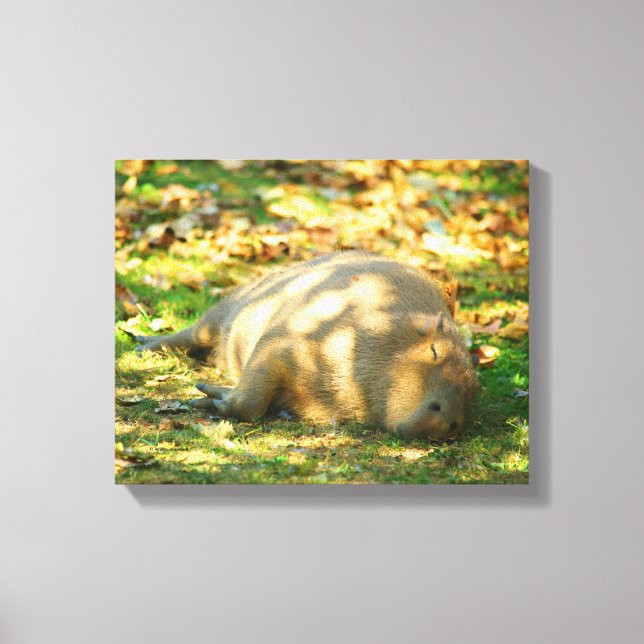 Lienzo Sueños de capibara en el sol de verano (Anverso)