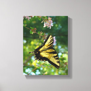 Lienzo Sueños de mariposa