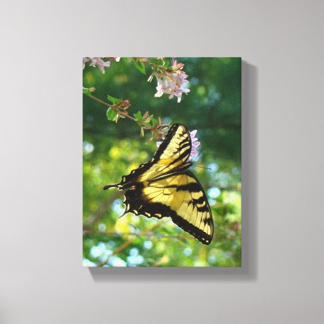 Lienzo Sueños de mariposa (Anverso)