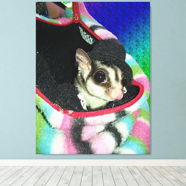 Lienzo Sugar Glider con sombrero (Insitu (piso de madera))
