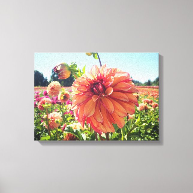 Lienzo Summer Dahlia (Anverso)