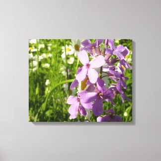 Lienzo Summer Lilac y Daisies