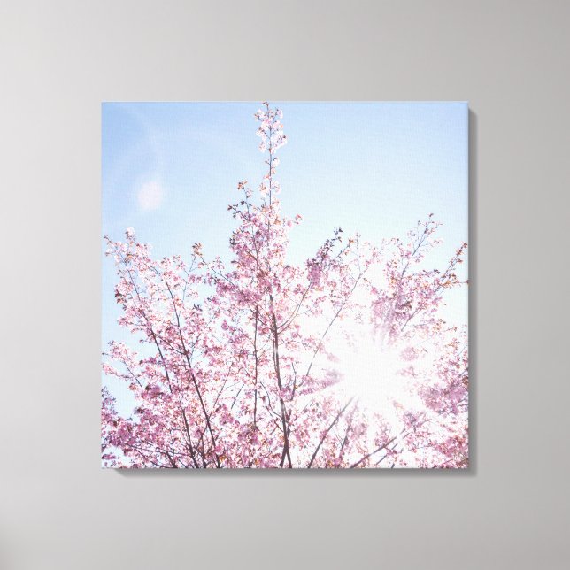 Lienzo sun rays pass through pink flowers of a wow tree (Anverso)
