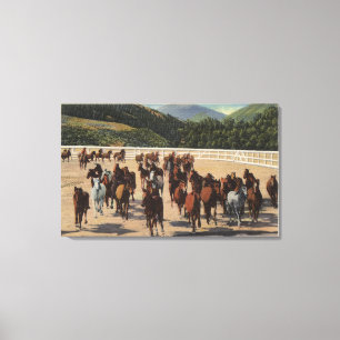 Lienzo Sun Valley, identificación - rodeo del caballo