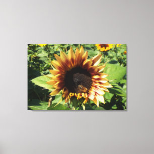 Lienzo Sunflower Bee