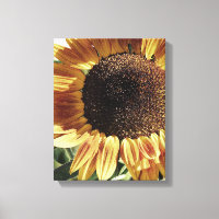 Sunflower espléndido | Fotografía de Cherie | Flor
