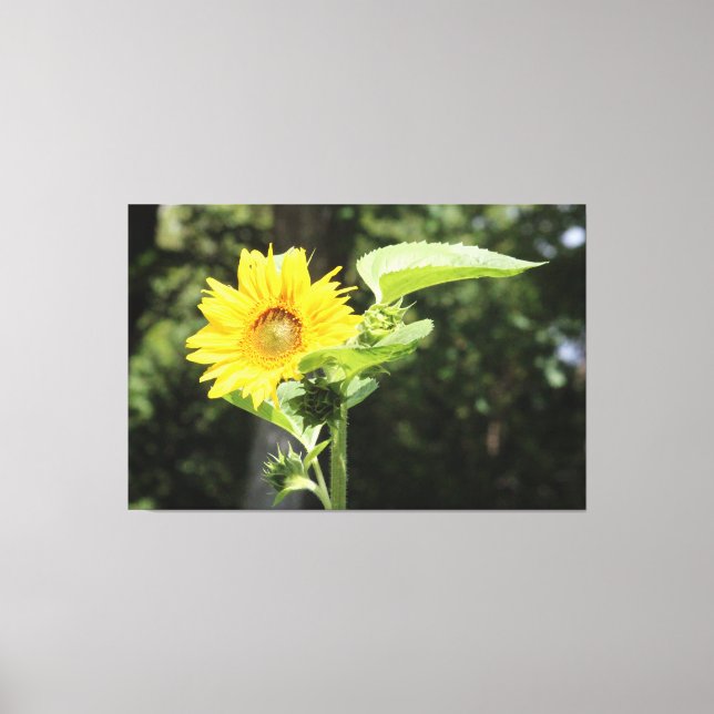 Lienzo Sunflower grande (Anverso)