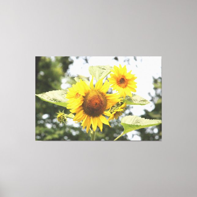 Lienzo Sunflower Grande (Anverso)