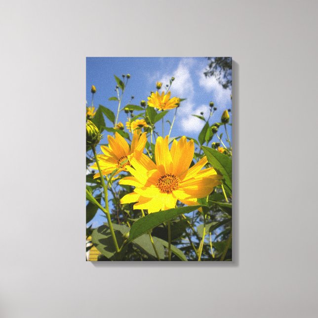 Lienzo Sunflowers N Canvas envueltas con cielo (Anverso)