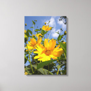 Lienzo Sunflowers N Canvas envueltas con cielo