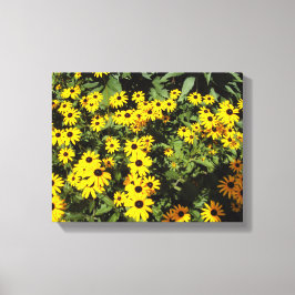 Lienzo Sunlit Meadow