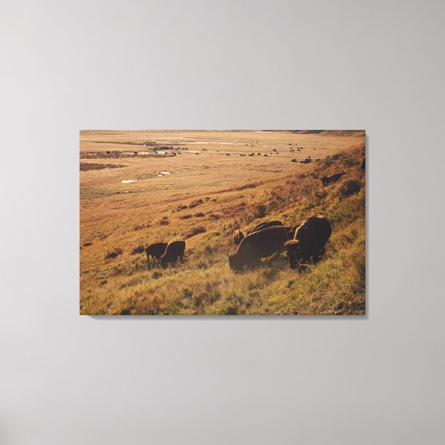 Lienzo Sunrise On Bison (Anverso)