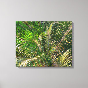 Lienzo Sunset Lit Palm Fronds Tropical
