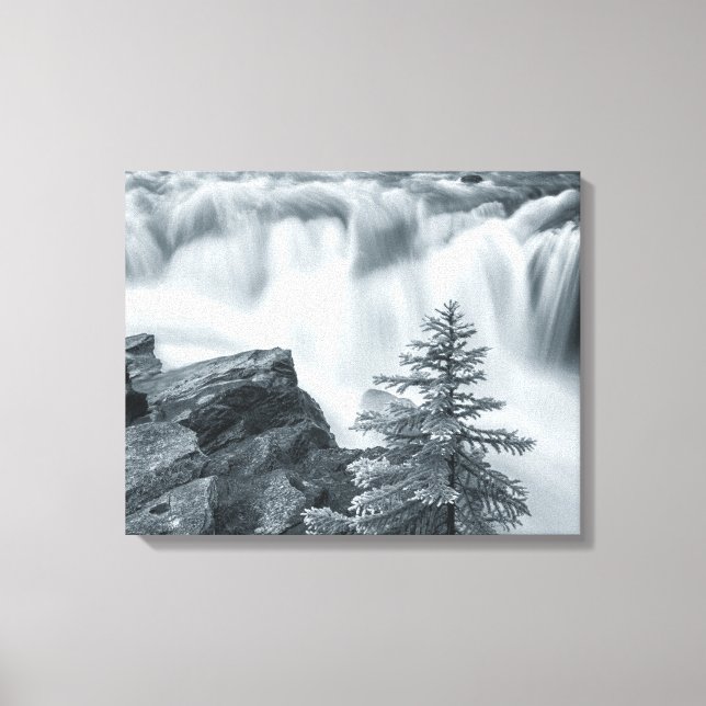 Lienzo Sunwapta Falls bw (Anverso)
