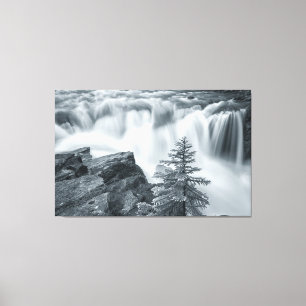 Lienzo Sunwapta Falls bw