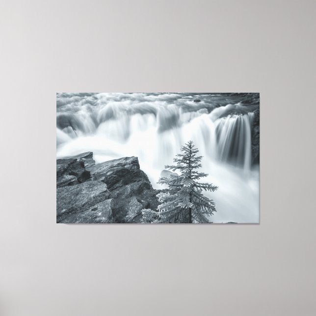 Lienzo Sunwapta Falls bw (Anverso)