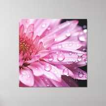 Super macro de flor rosa con caídas de lluvia