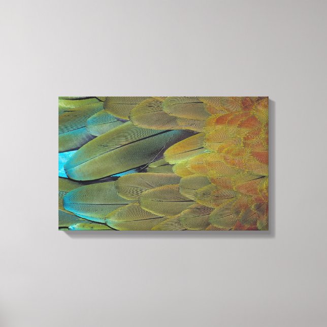 Lienzo Superficie de la pluma 3 (Anverso)