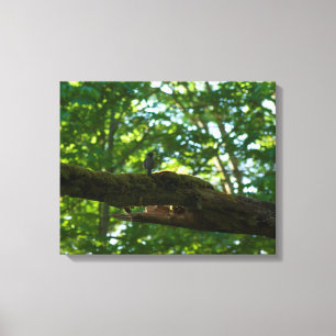 Lienzo Superficie forestal