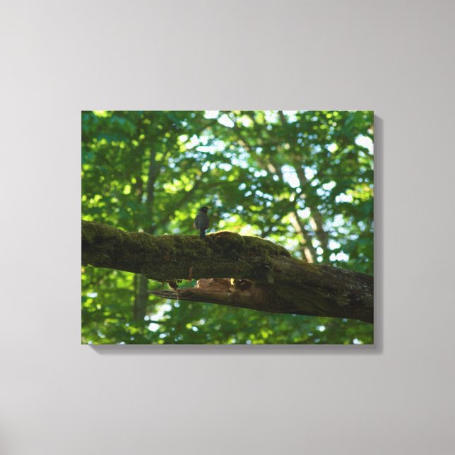 Lienzo Superficie forestal (Anverso)