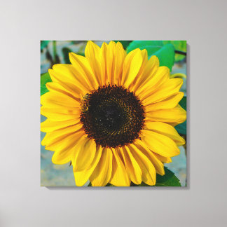 Lienzo Supremo del girasol