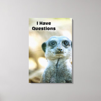 Lienzo Suricata Divertida Tengo Preguntas Humor Animal