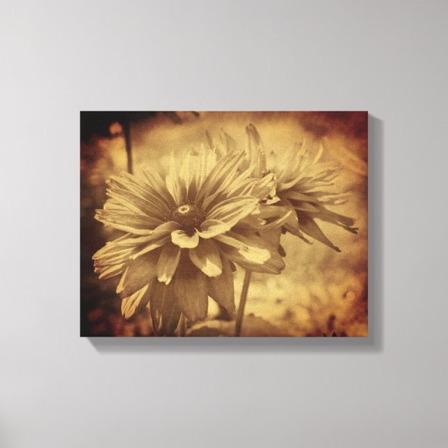 Lienzo Susan de ojos negros Flores Sepia Aged Vintage (Anverso)