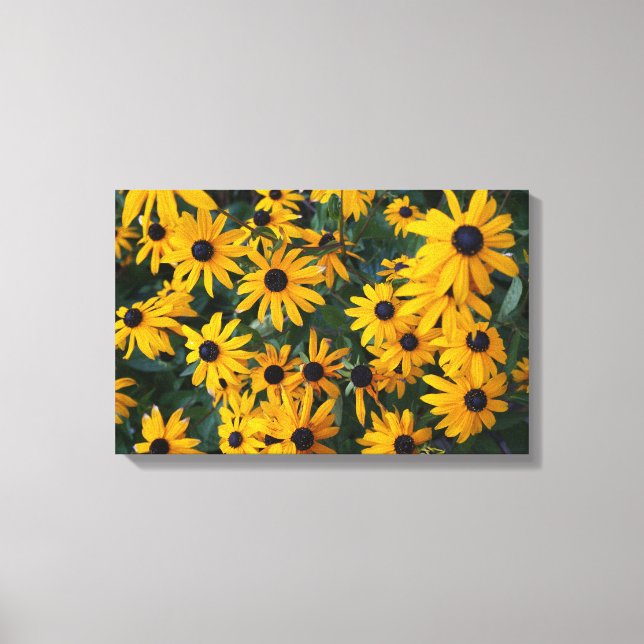 Lienzo Susan Flowers Canvas de ojos negros (Anverso)
