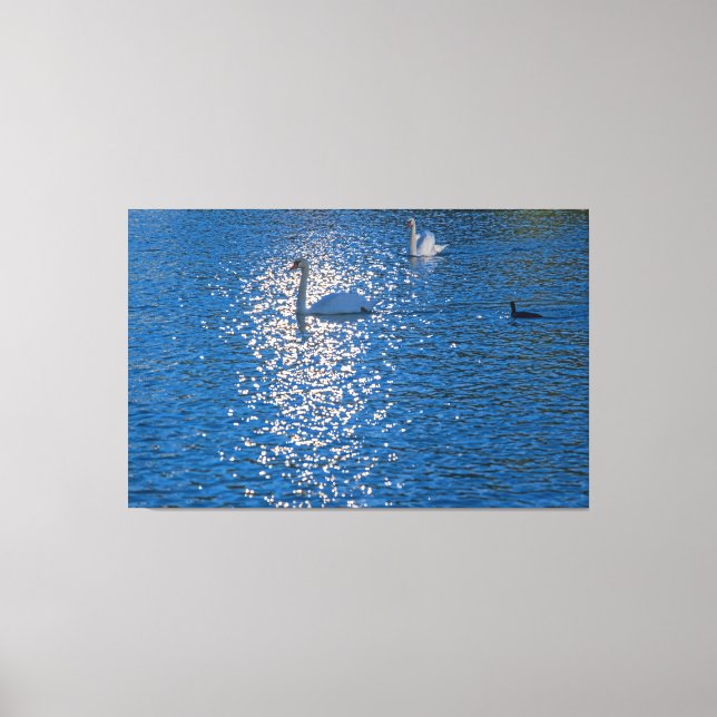 Lienzo Swan (Anverso)