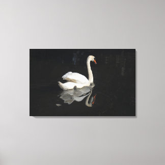 Lienzo Swan