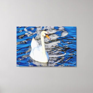 Lienzo Swan con reflexiones