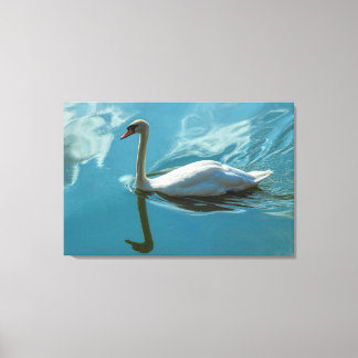 Lienzo Swan con reflexiones en la nube