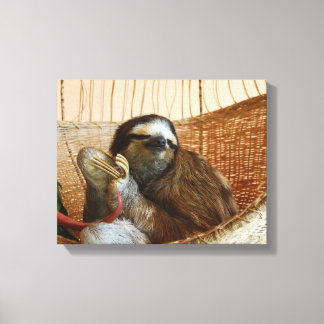 Lienzo Sweet Sloth