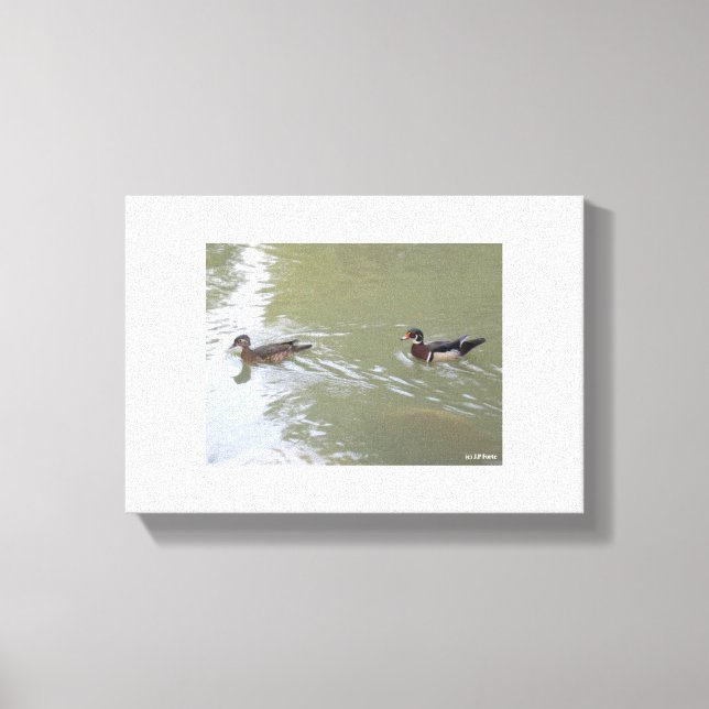 Lienzo Swimming Ducks (Anverso)
