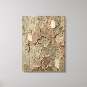 Lienzo Sycamore Bark Stretching Canvas Art