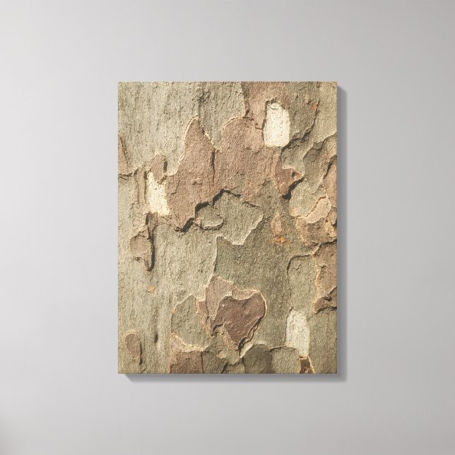 Lienzo Sycamore Bark Stretching Canvas Art (Anverso)
