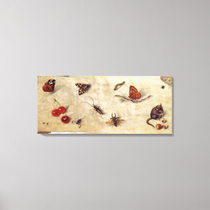 Lienzo T31567 Estudio de varios insectos, fruta y anima