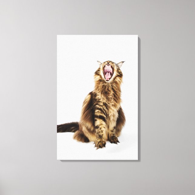 Lienzo Tabby principal clásico de Brown (Anverso)