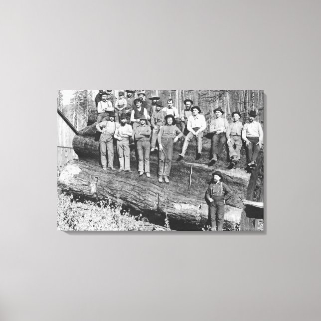 Lienzo Tableros de madera en California, 1891 (Anverso)