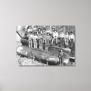 Lienzo Tableros de madera en California, 1891