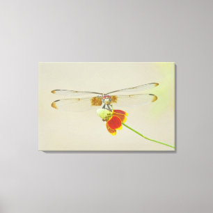 Lienzo Tachuela ajedrezada (Dythemis fugax) en Mexicano