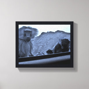 Lienzo Taif Baboons