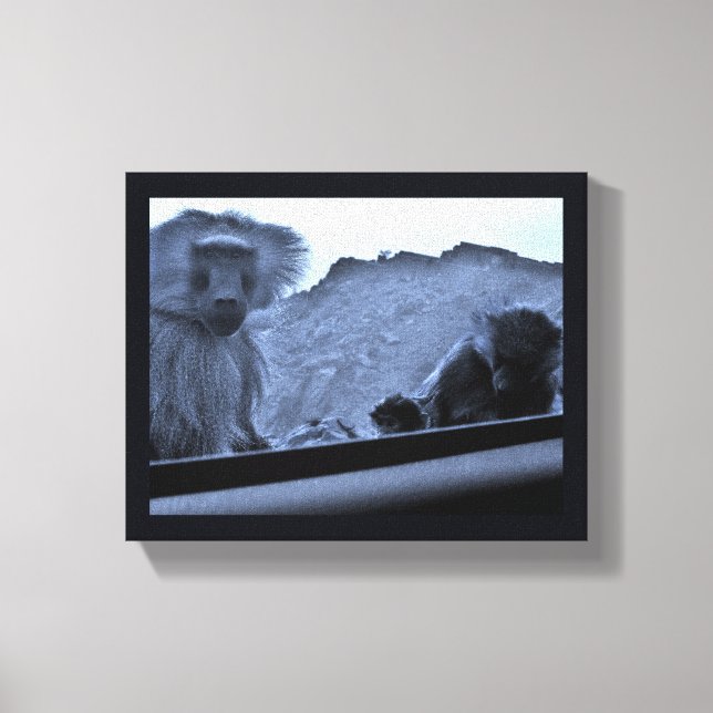Lienzo Taif Baboons (Anverso)