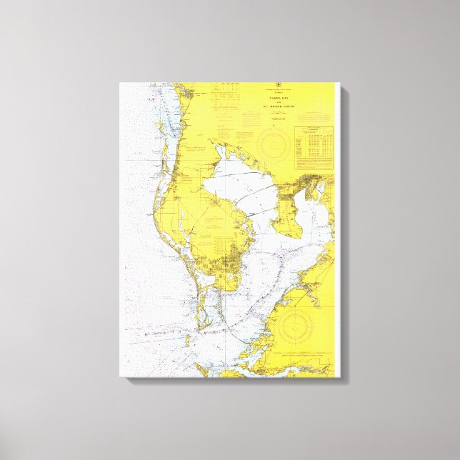 Lienzo Tampa Bay, gráfico náutico de Florida (Anverso)