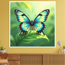 Tanz des Schmetterlings