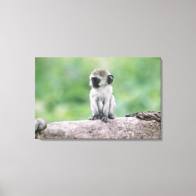 Lienzo Tanzania, Cráter Ngorogoro. Cierre de la zona salv (Anverso)