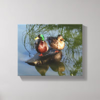 Tapos Mallard #2 Canvas