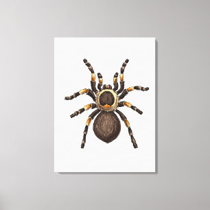 Lienzo Tarantula