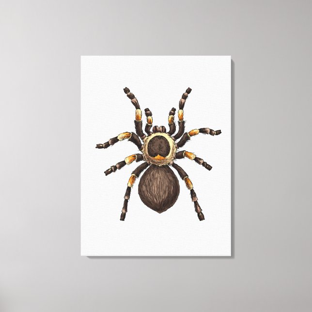 Lienzo Tarantula (Anverso)